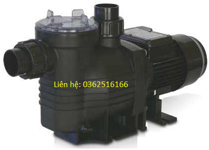 Máy bơm hồ bơi Máy bơm hồ bơi